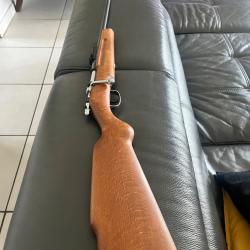 Carabine 22 LR manu arm