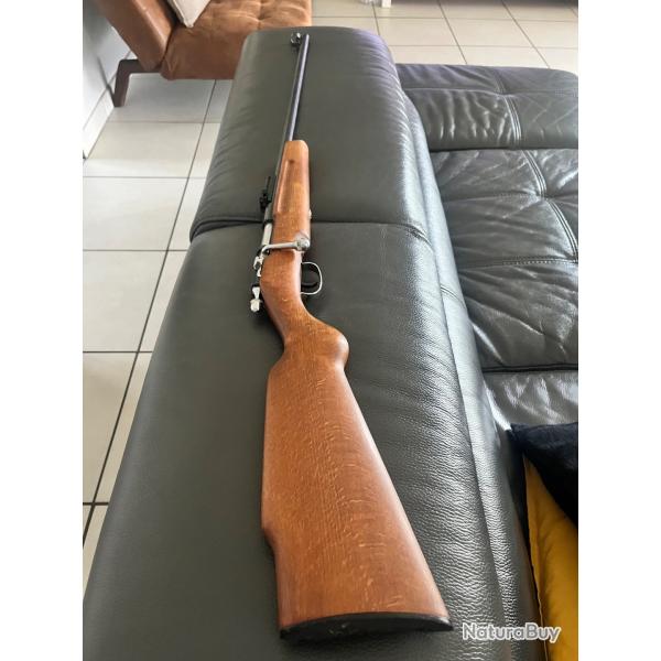 Carabine 22 LR manu arm