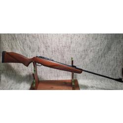 CARABINE A PLOMB GAMO GRIZZLY 45 JOULES CAL. 5.5