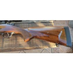 Tr&egrave;s belle affaire CZ 550 Medium