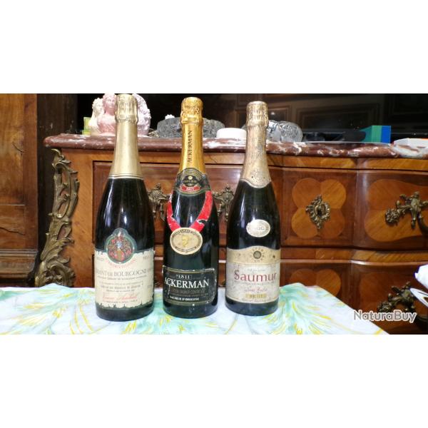 UN LOT de 3 BOUTEILLES de BULLES