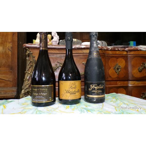 UN LOT de 3 BOUTEILLES de PETILLANT MOUSSEUX