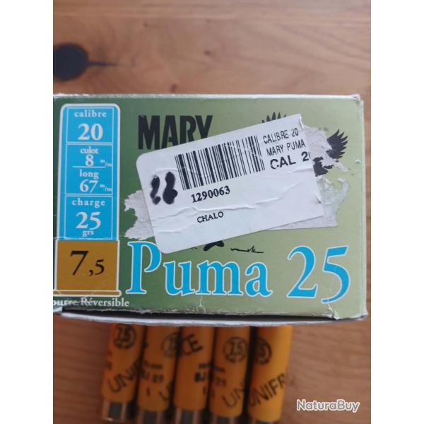 22 cartouches calibre 20 mary arm puma 25 plomb 7.5