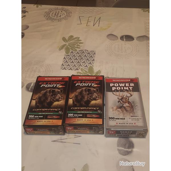 Lot munitions balles  300win mag  winchester