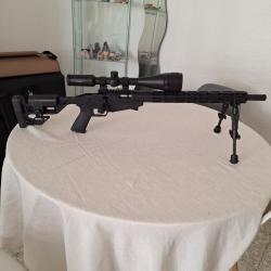 Carabine RUGER precision Rimfire 17HMR
