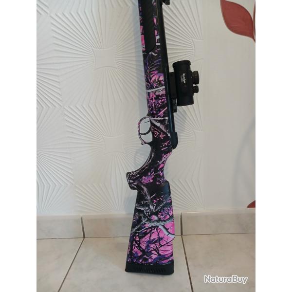 carabine a air comprim�