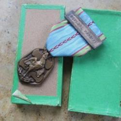 ordre m&eacute;daille de la lib&eacute;ration (comm&eacute;morative) barrettes Afrique France Lib&eacute;ration seconde guerre