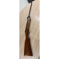 Carabine &agrave; plomb