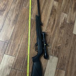 Carabine gamo 19,9 joule
