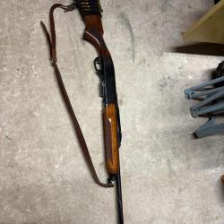 carabine semi auto remington