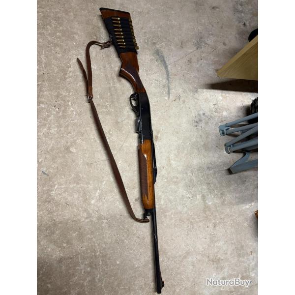 carabine semi auto remington
