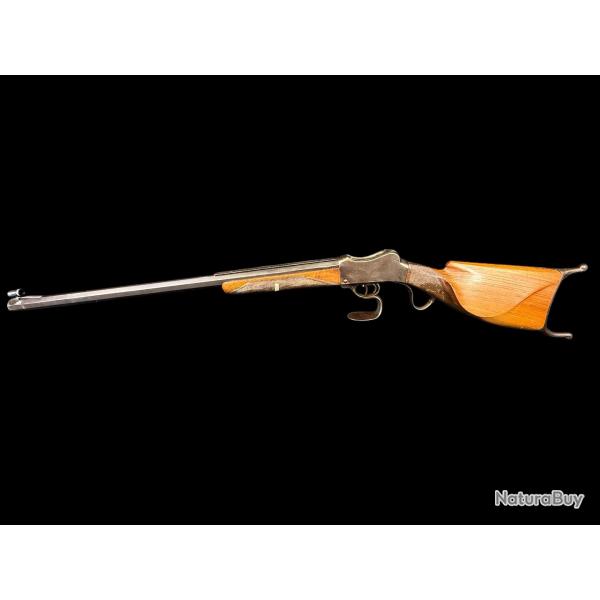 SUPERBE FUSIL SYSTEME MARTINI HENRY cal. 22LR num�ro 17047