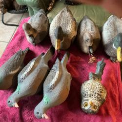 Lot de huit formes appelants, canards, pigeons et chouette neufs
