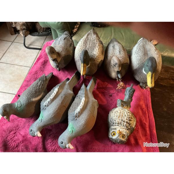Lot de huit formes appelants, canards, pigeons et chouette neufs