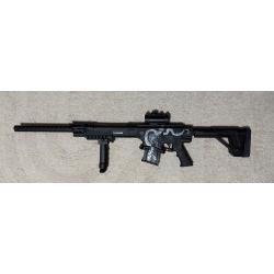Hatsan escort Px12x