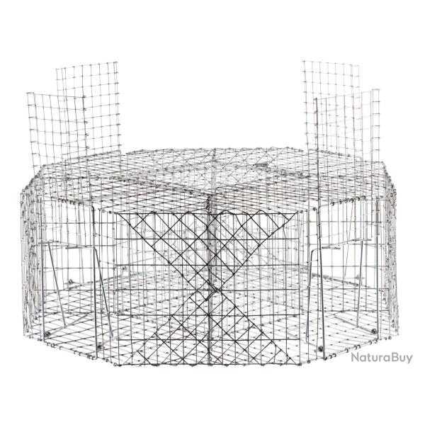 Cage � pies
