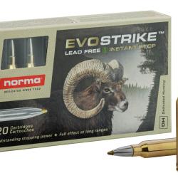 Norma .300 Win Mag EVOSTRIKE 139 grains / 9 g
