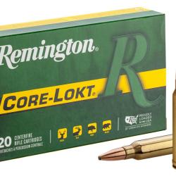 Remington .300 Win Mag Core-Lokt 180 gr / 11,7 g