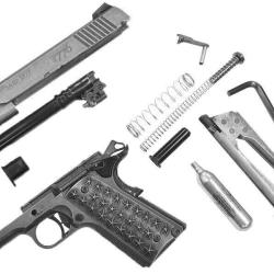 Pistolet Sig Sauer 1911 We The People