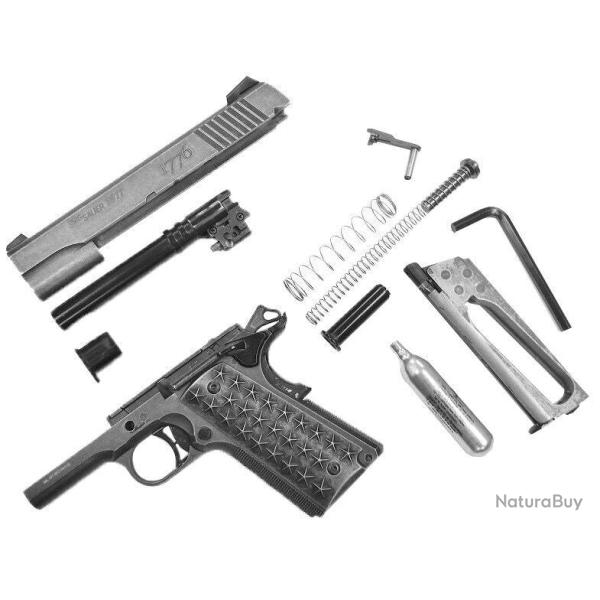 Pistolet Sig Sauer 1911 We The People