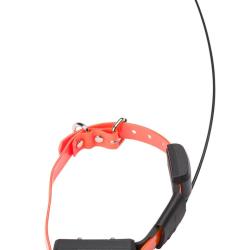 Num'Axes collier GPS MINI avec stimulation