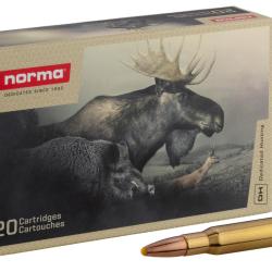 Norma .30-06 Springfield Plastic Point 180 grains / 11,7 g
