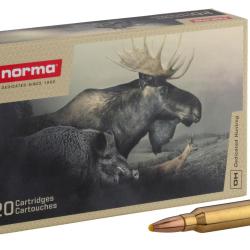 Norma .300 Win Mag Plastic Point 180 grains / 11,7 g