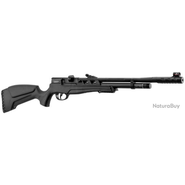 Beeman Carabine PCP Raider 1320 - PCP Raider Cal. 4.5 mm