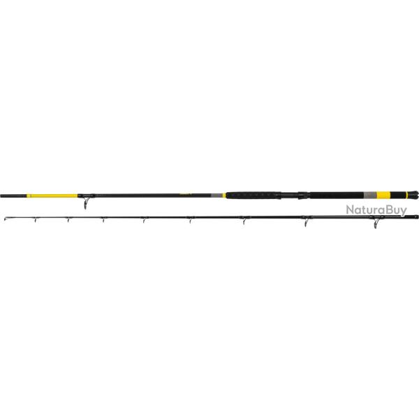 Canne silure Black Cat Perfect Passion X Bank 3 m - 600 g