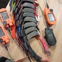 colliers tek 2.0 + centrale + chargeur