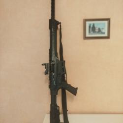 Fusil r&eacute;armement lin&eacute;aire calibre 12