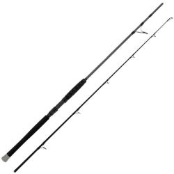 Canne Silure Black Cat Shadow Cat Spin 2 50-200g 230cm 1,25m