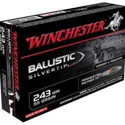 1 Boite de Balles Winchester 243 Win Ballistic Silvertip 55gr