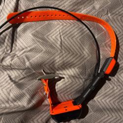 Collier GPS Garmin TT20 neuf