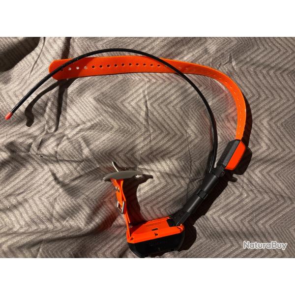 Collier GPS Garmin TT20 neuf