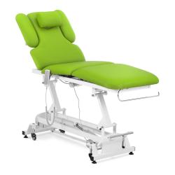 Table de massage confortable 3 moteurs 250 kg vert p&acirc;le 14_0007756