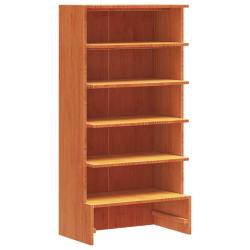 Armoire &agrave; chaussures range chaussures rangement meuble entr&eacute;e couloir salon cire 52 x 30 x 104 cm b