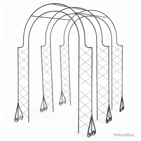 Arche de jardin treillis pour rosiers 250 x 180 x 210 cm support �l�gant en acier noir 13_0018882