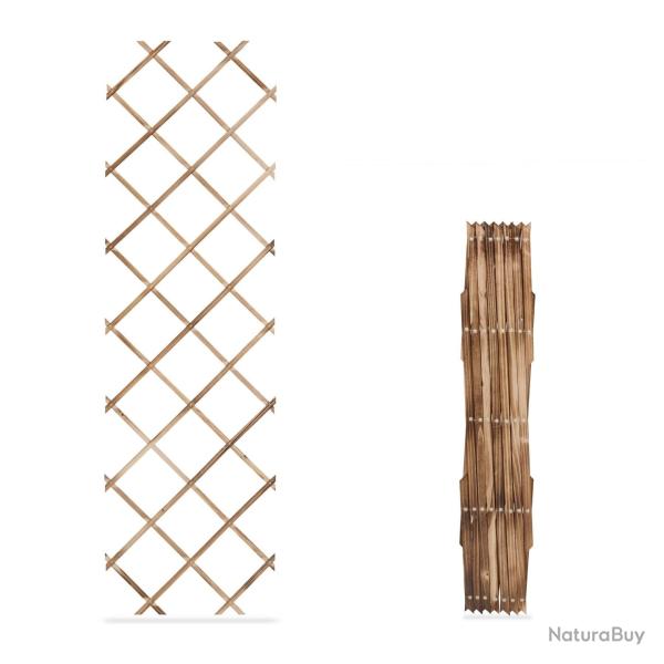 Lot de 3 tuteurs � tomates extensibles jardin 250 x 120 x 10 cm en bois de sapin naturel 13_0015315