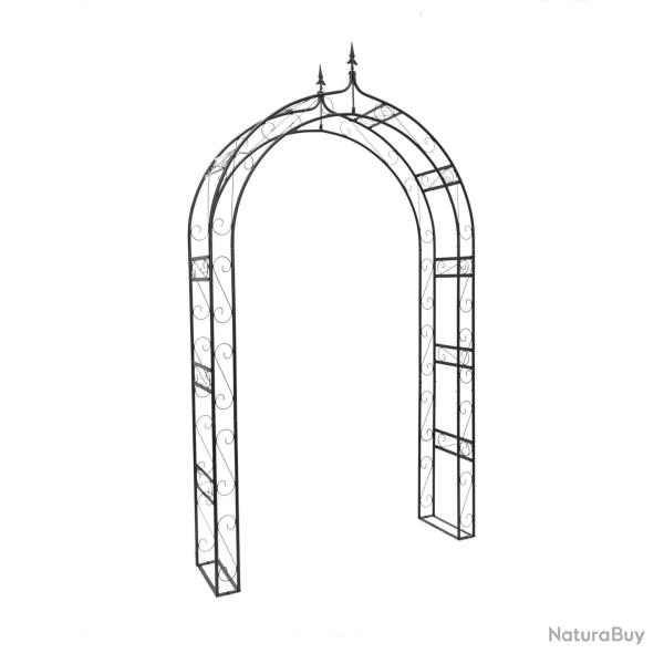 Arche � rosiers d�corative pour plantes grimpantes 200 x 100 x 50 cm en fer �poxy noir 13_0003265