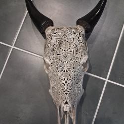 Cr&acirc;ne de vache sculpt&eacute; #0710(2)