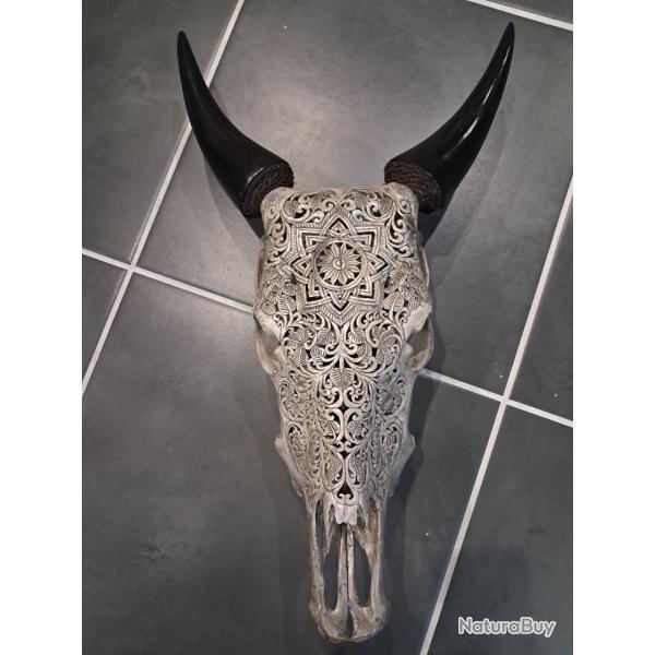 Cr�ne de vache sculpt� #0710(2)