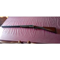 Robust mod&egrave;le 20/202 calibre 12