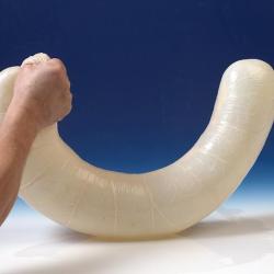 Baudruche de Boeuf &Oslash; 100