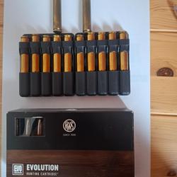 Munitions Balles 9.3*62 RWS  EVO  18.8 gr   291gr