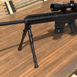 Carabine Pallas 22lr style AR15