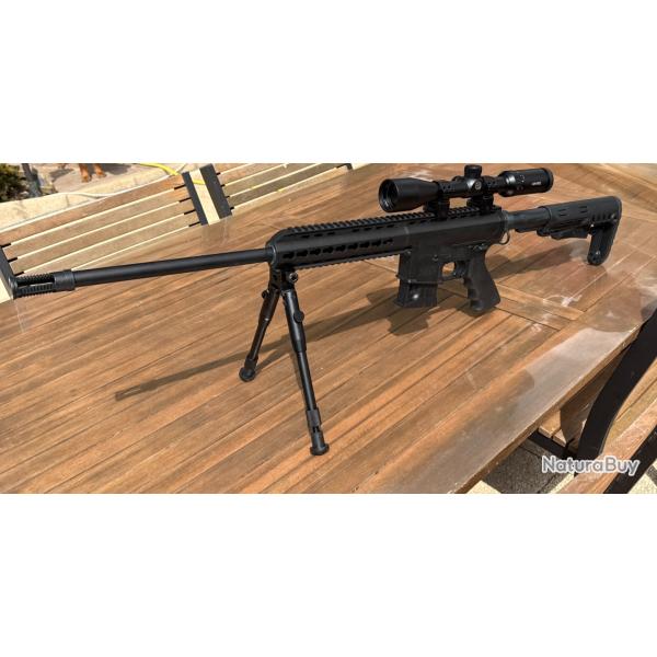 Carabine Pallas 22lr style AR15