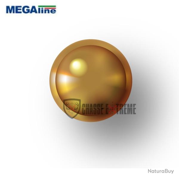 Guidon Laiton Go MEGALINE M2.6 D3