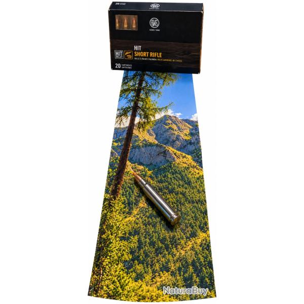 16 munitions 9.3X62 RWS HIT SHORT RIFLE 16.2g/ 250gr