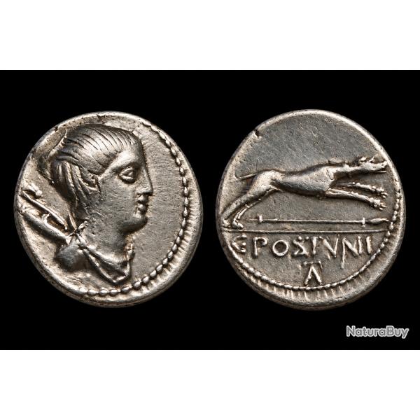 Denier argent Postumia 74 av.JC.